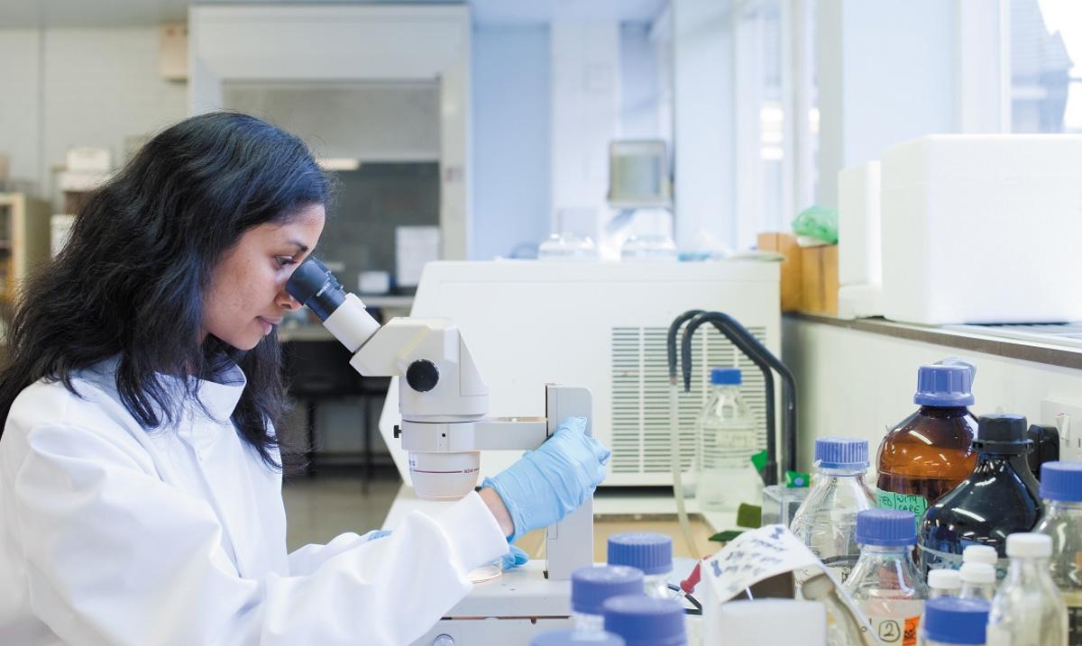 The South Asia Postgraduate Excellence Award 2025 by the University of Nottingham