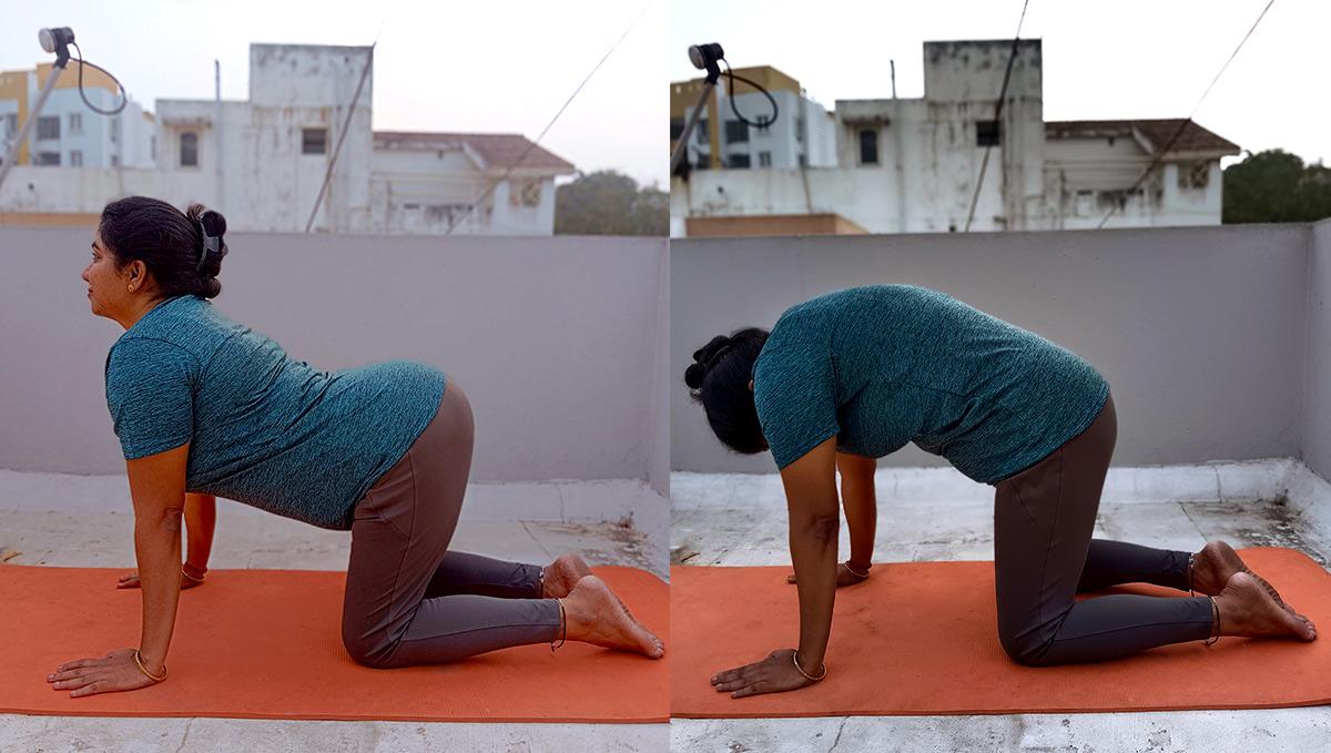 rediffguru pushpa get fit with yoga: how to do marjariasana