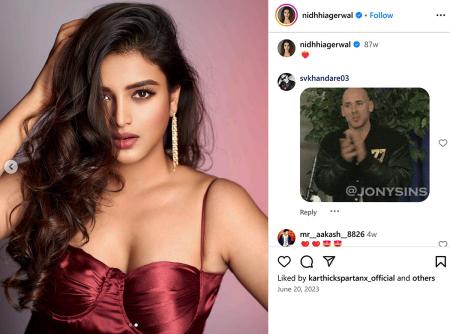Nidhhi Agerwal