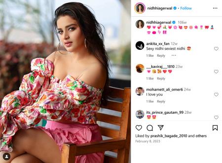 Nidhhi Agerwal