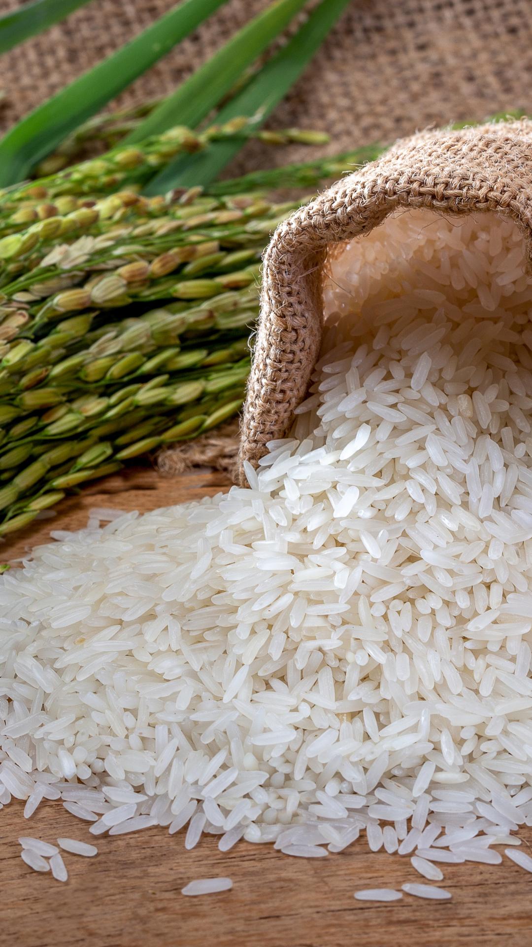Rice