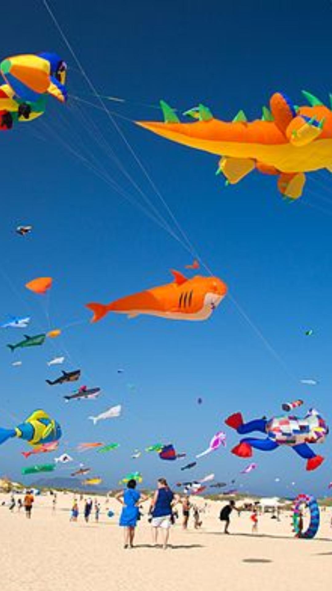 kite