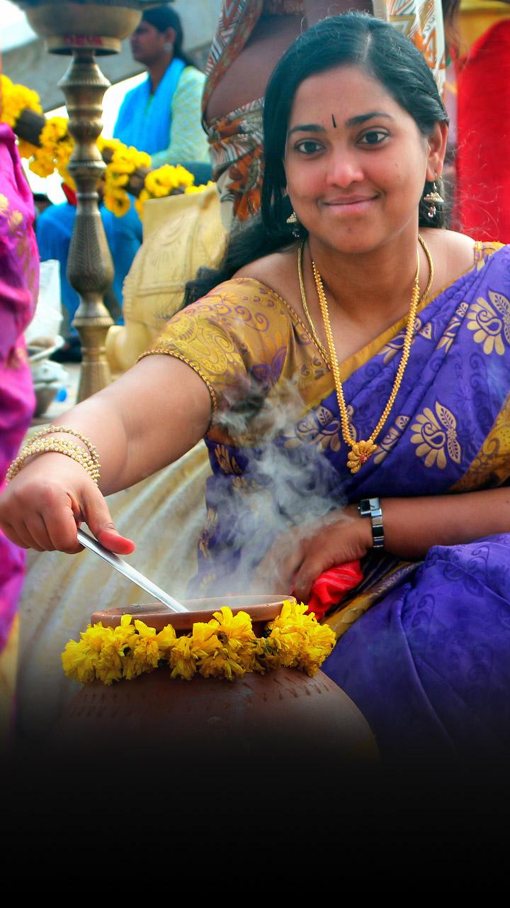 Pongal celebrations and rituals