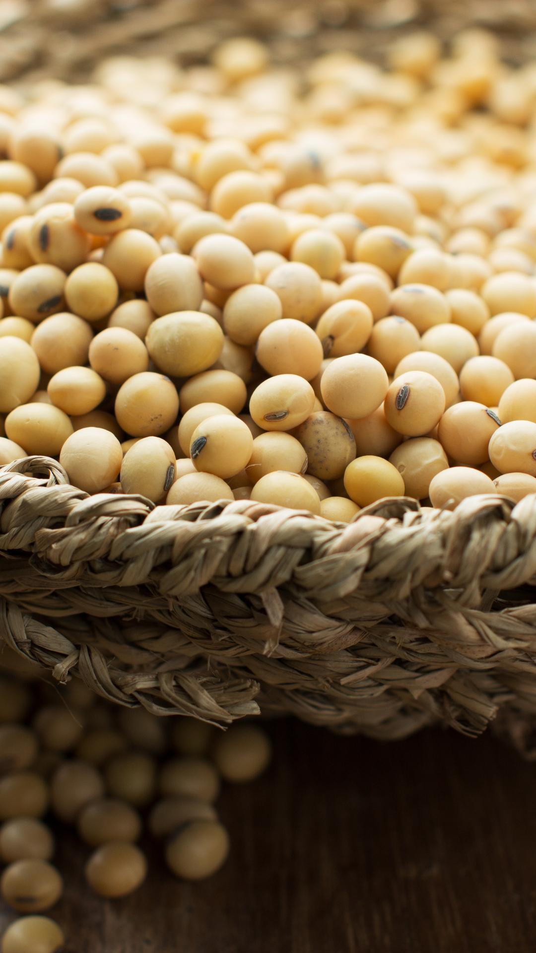 Soy