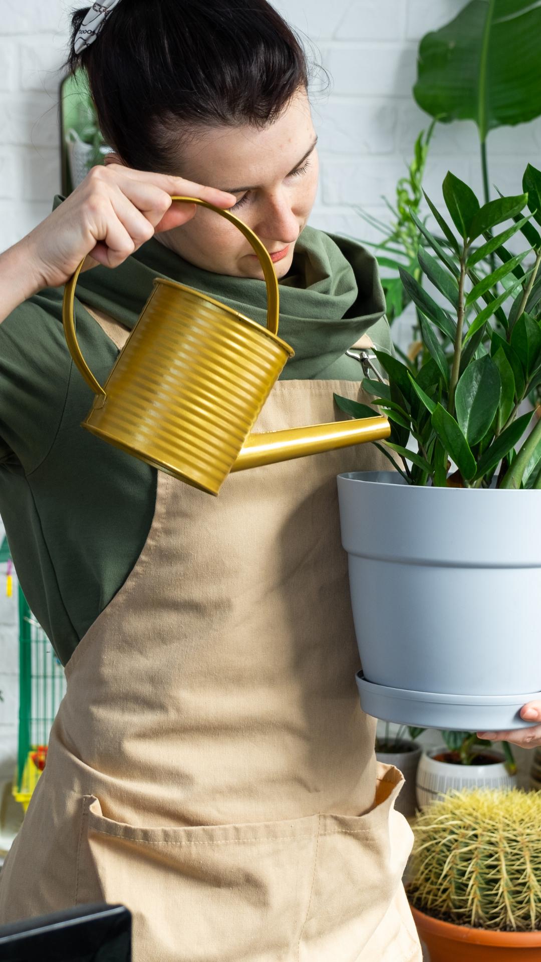 Watering Practices