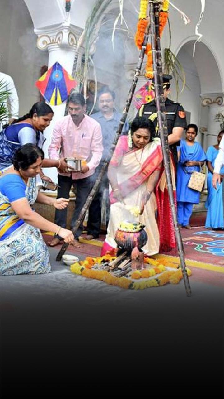 Pongal in Tamil Nadu