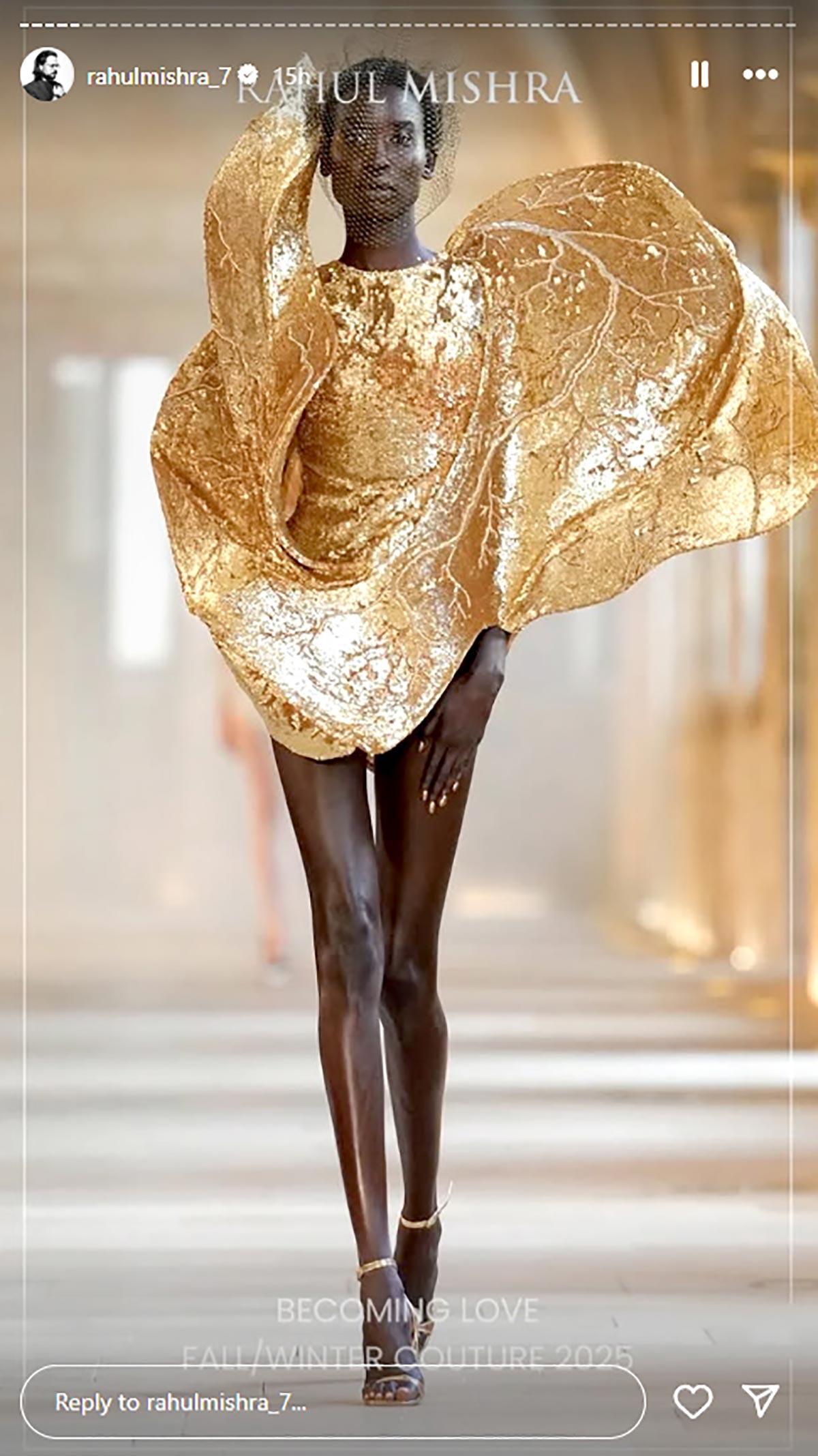 Rahul Mishra Fashion Model