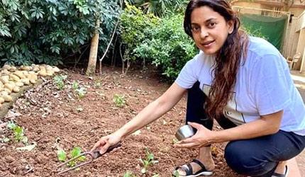 how to apply for university of mumbai's centre for extra mural studies 2025