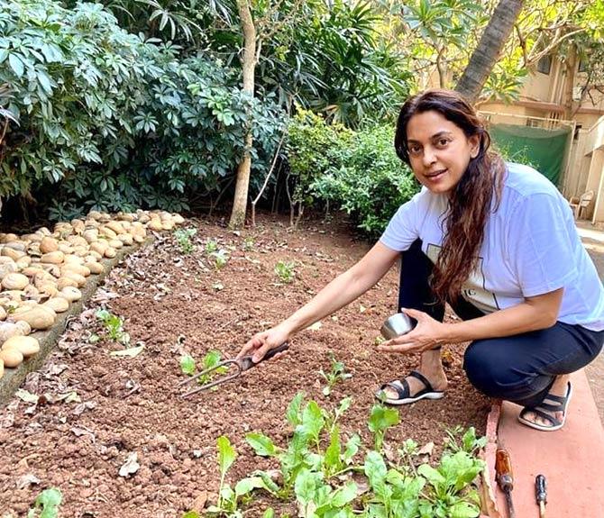 Certificate weekend courses at Mumbai University: Learn gardening, astronomy, dramatics, archaeology, and more