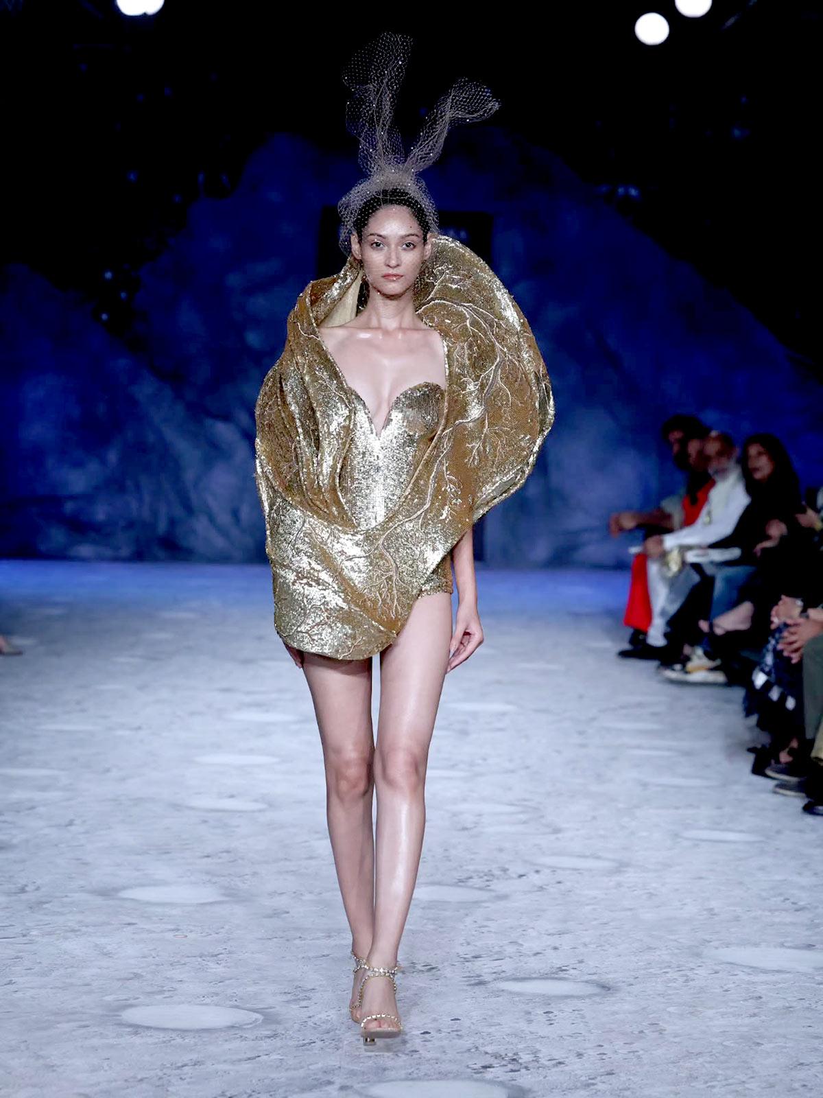 Rahul Mishra's collection