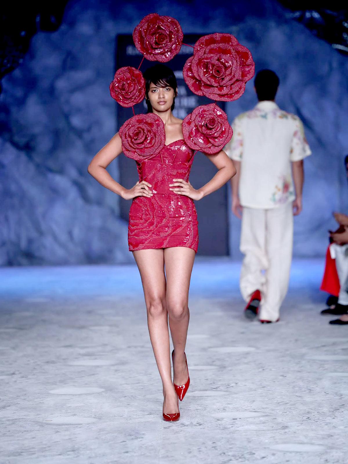 Rahul Mishra's collection