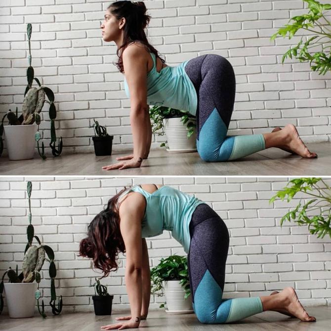 Marjaryasana Bitilasana aka Cat Cow Pose