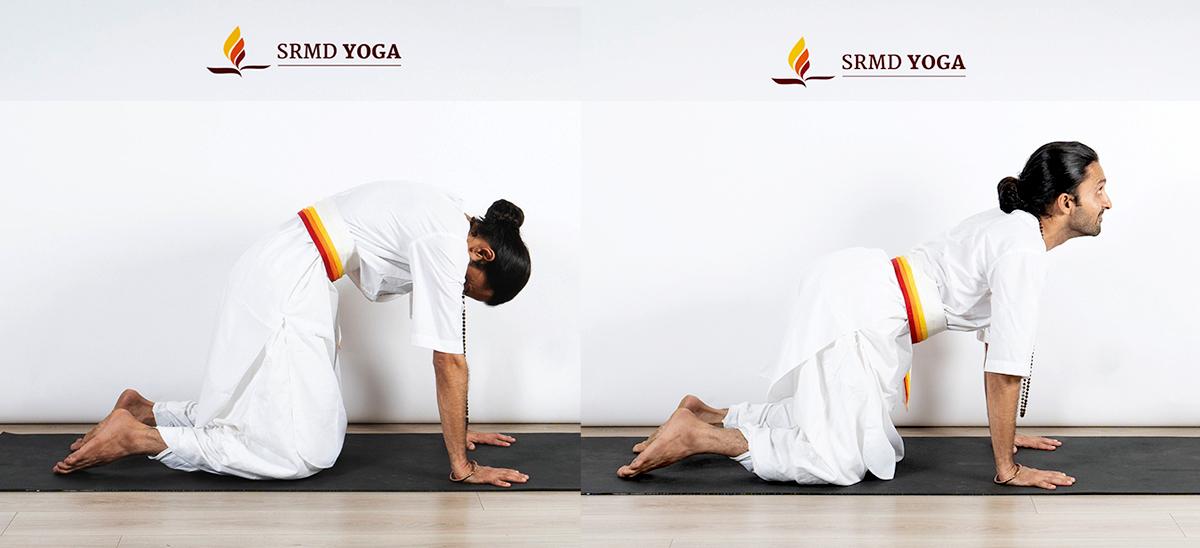 Marjaryasana-Bilitasana