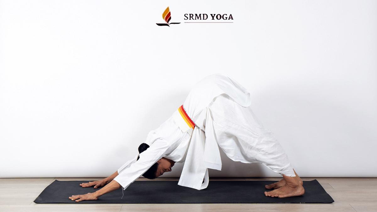Adho Mukha Svanasana or Downward Facing Dog Pose