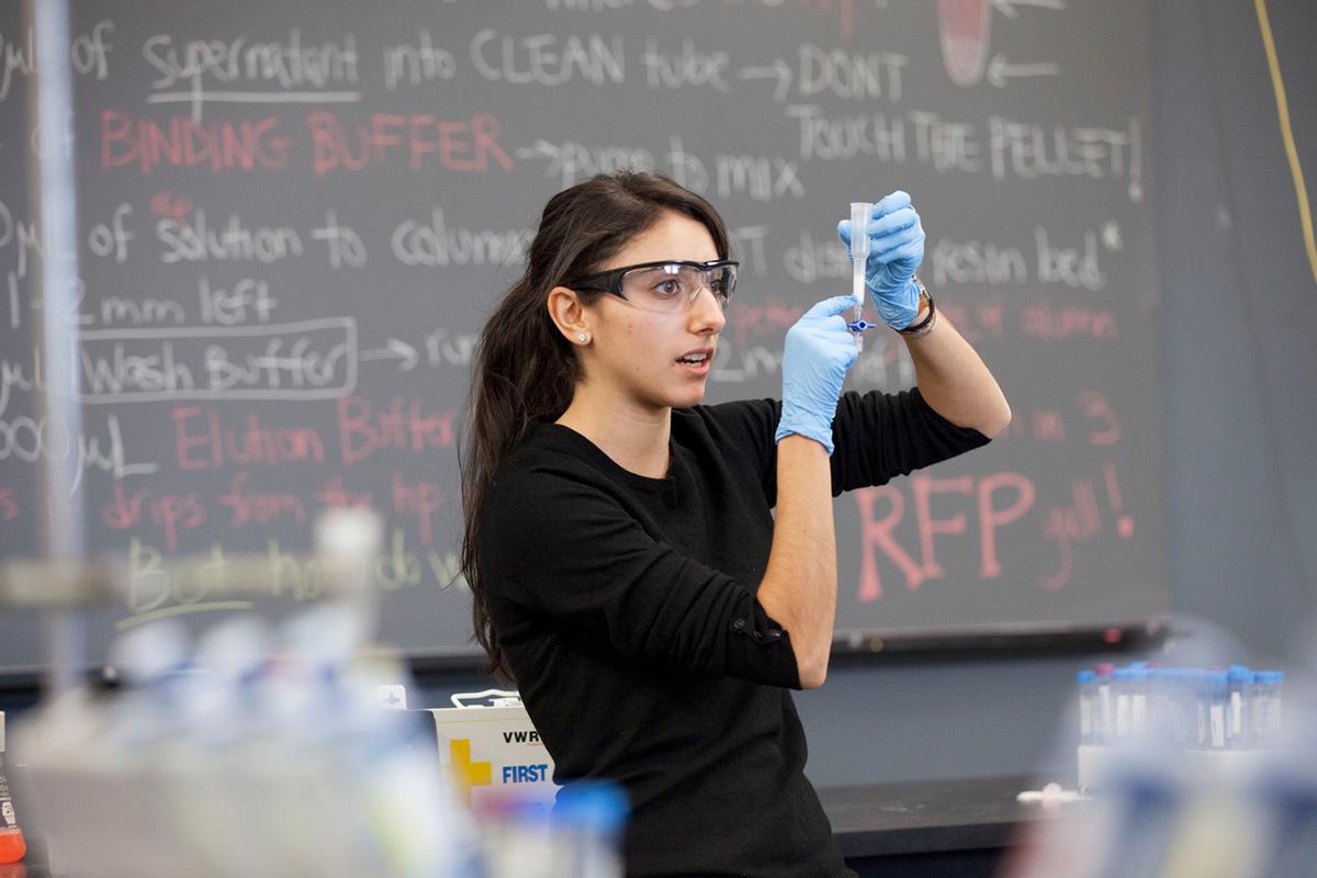 A Harvard student