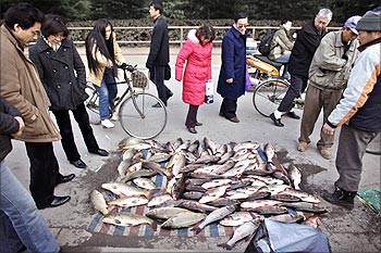 People buy fish on a street in Shanghai.