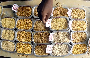 A man arranges price tags on various pulses at a market in Chennai, July 14, 2009.