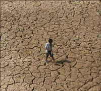 A farmer walks on a parched piece of land