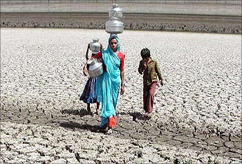A woman walks through a parched field to collect water in Rajkot.