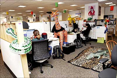 The safari-themed Google office in San Francisco.