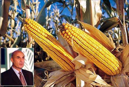 Monsanto offer high yield seeds, Hugh Grant (inset)