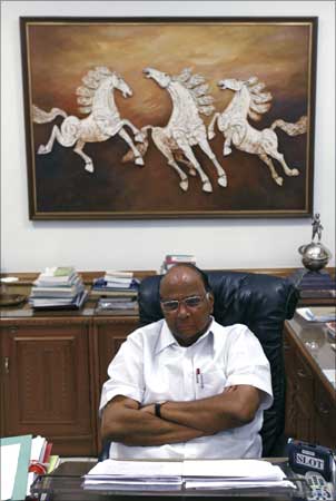 Union Agriculture Minister Sharad Pawar in his office.