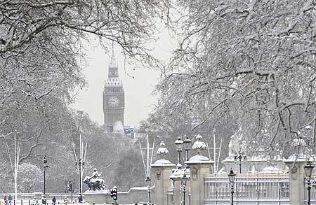Snow covered trees in front of the Houses of Parliament in central London