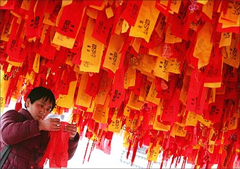 A Chinese woman hangs an ornament on a tree outside a temple in Shanghai.