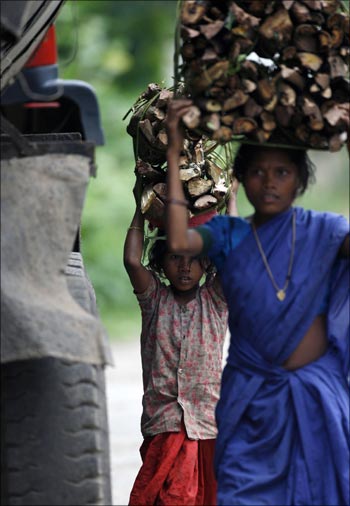 Tribal farmers carry firewood on a road in the Koraput district in Orissa.