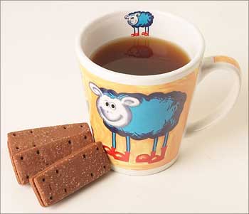 A cup of tea and biscuits.