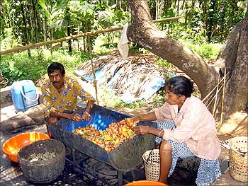 Goan workers make Feni.