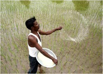 A farmer in India.