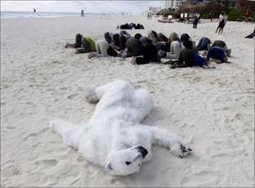 A protestor dressed as a polar bear lying on a beach.