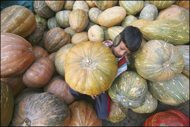 A boy carries a pumpkin at a wholesale vegetable market in Chandigarh.