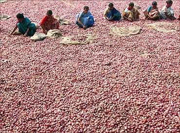 aLabourers sort onions at a wholesale vegetable market in Siliguri.