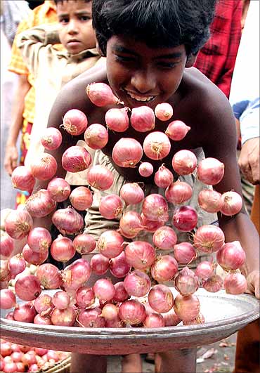 A boy picks up a tray of onions.