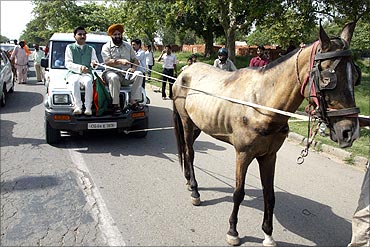 Activists from Bharatiya Janata Party (BJP) use a horse to pull their car during a protest rally.
