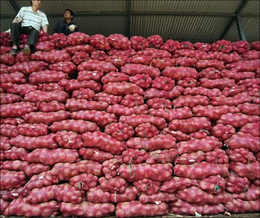 Onion prices could remain high till next Diwali