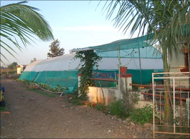 Dyaneshwar's greenhouse at his farm.