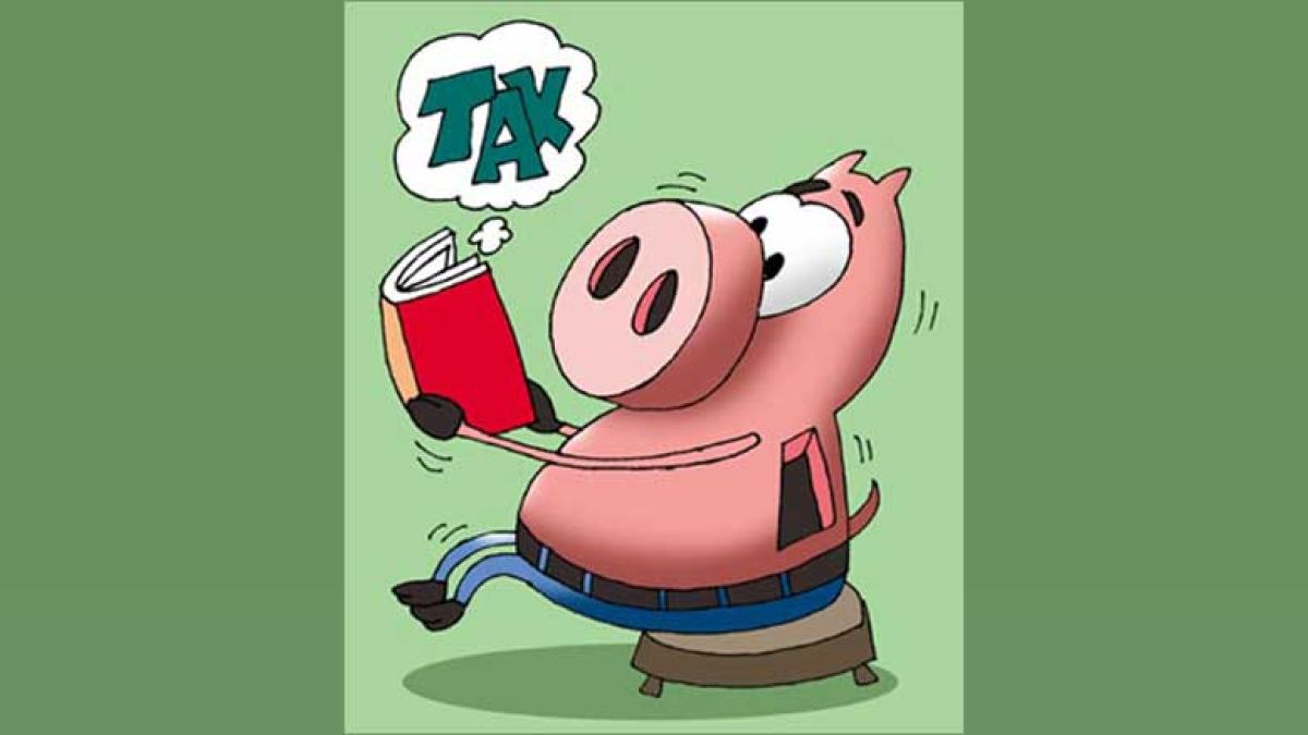 I-T Search at Go Colors Premises