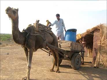 Water getting 'trucked' in by camel cart to Yatra Foundation's School.