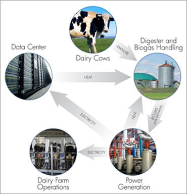 How 10,000 cows can power 1 MW data centre