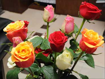 Roses from the Ethiopia unit.