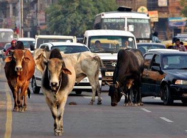 Delhi traffic.