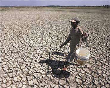 Famr sector hit by drought.