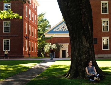 A student sits under a tree in Harvard Yard at Harvard University.