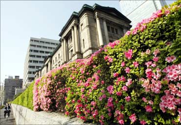 Azalea are seen in full bloom in front of the Bank of Japan headquarters in Tokyo.