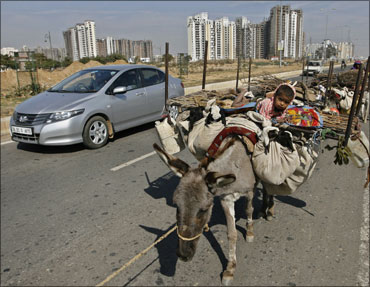 Nomads walk along with their donkeys on a street at Badshapur in Haryana.