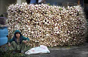 A boy sits next to a pile of turnips in a fruit and vegetable market on the outskirts of Islamabad.