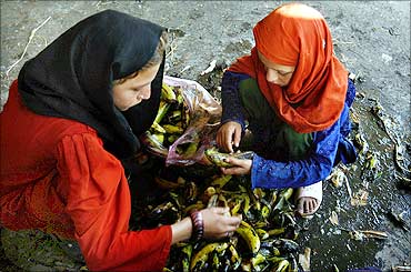 Girls scavenge bananas from garbage for food in a fruit market in Lahore.